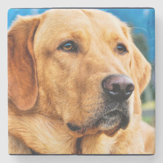 Golden Labrador Retriever Stone Coaster