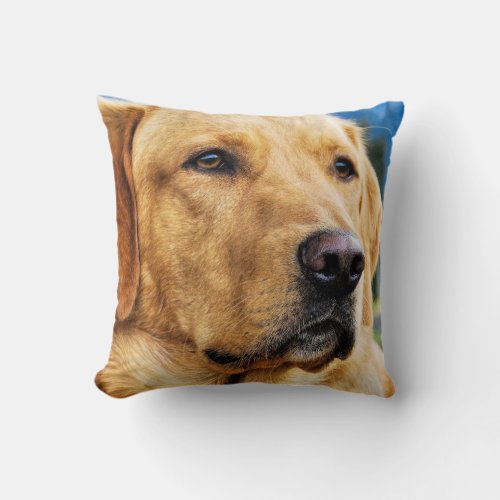 Golden Labrador Retriever Throw Pillow