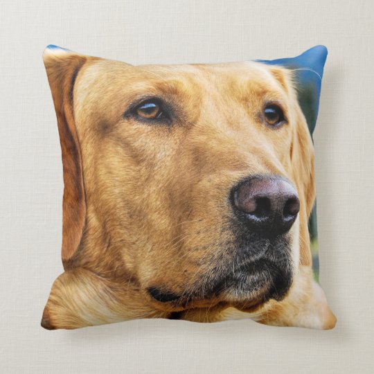 golden retriever body pillow