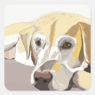 Golden Labrador Square Sticker