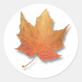 Golden Leaf Classic Round Sticker