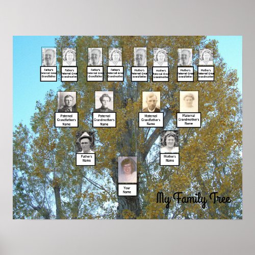 Golden Leaf Photo Family Tree 4 Generation Poster