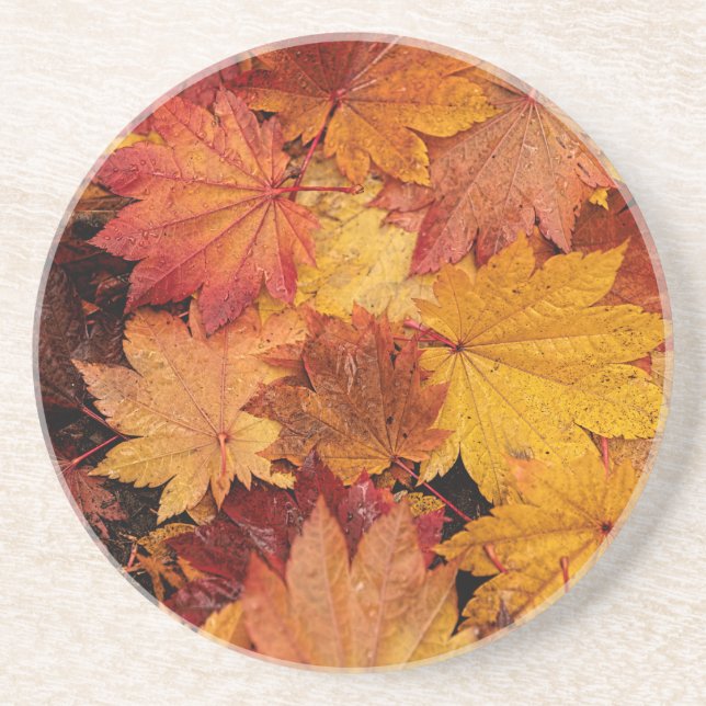 GOLDEN LEAVES OF AUTUMN COASTER (Front)