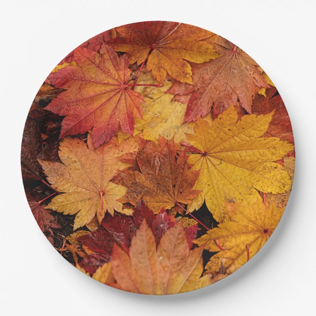 GOLDEN LEAVES OF AUTUMN PAPER PLATES (Front)