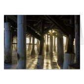 Golden Light Shines Through (Front Horizontal)