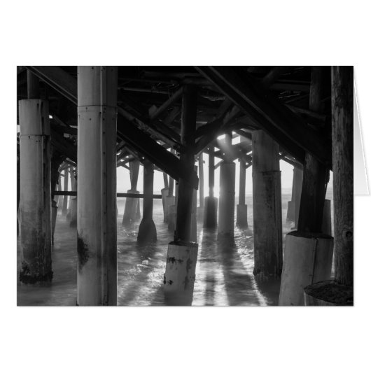 Golden Light Shines Through Grayscale Cards (Front Horizontal)