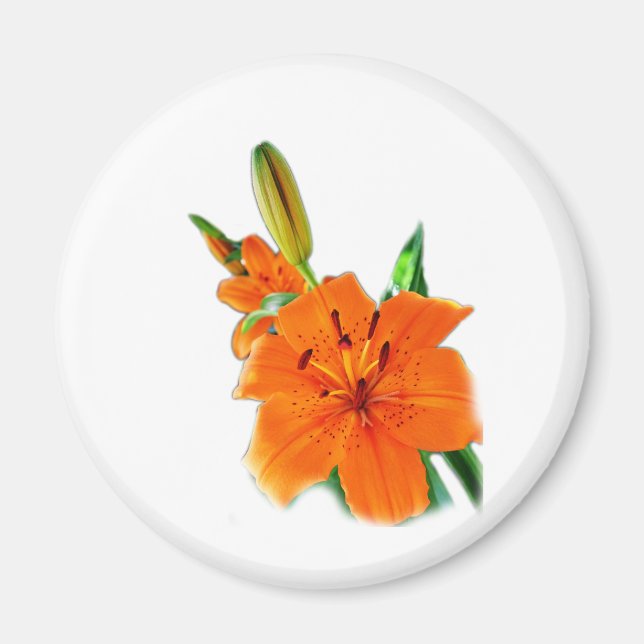 Golden Lily Magnet (Front)