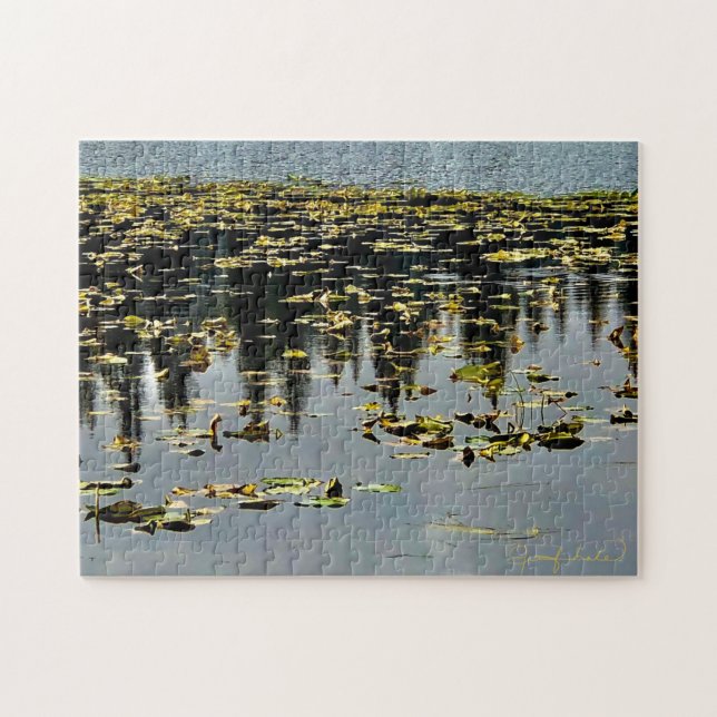 Golden Lily Pads Jigsaw Puzzle (Horizontal)