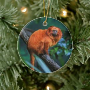 Golden Lion Tamarin Ceramic Ornament
