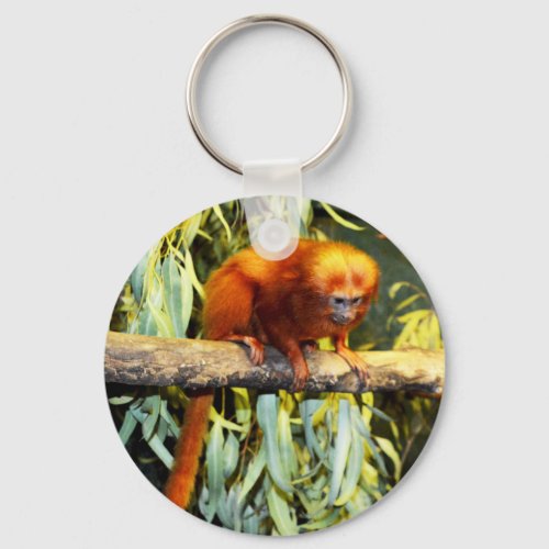 Golden Lion Tamarin Observing Keyring