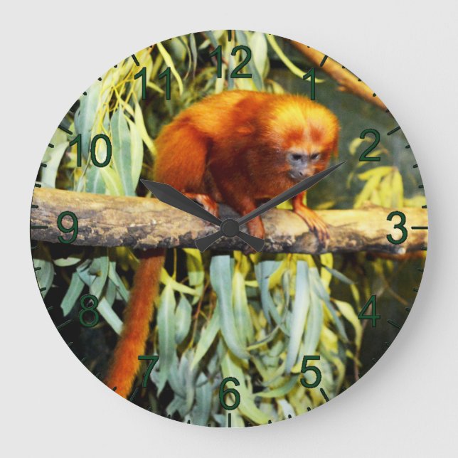 Golden Lion Tamarin Observing, Wall Clock (Front)