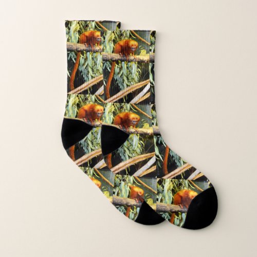 Golden Lion Tamarin Peering Large Socks