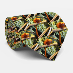 Golden Lion Tamarin Peering, Neck Tie