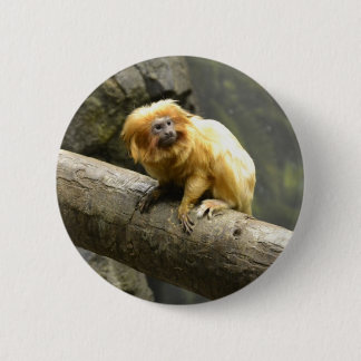 Golden Lion Tamarin Pinback Button