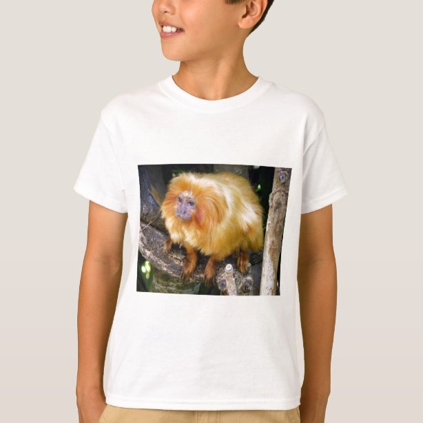 golden lion tamarin shirt