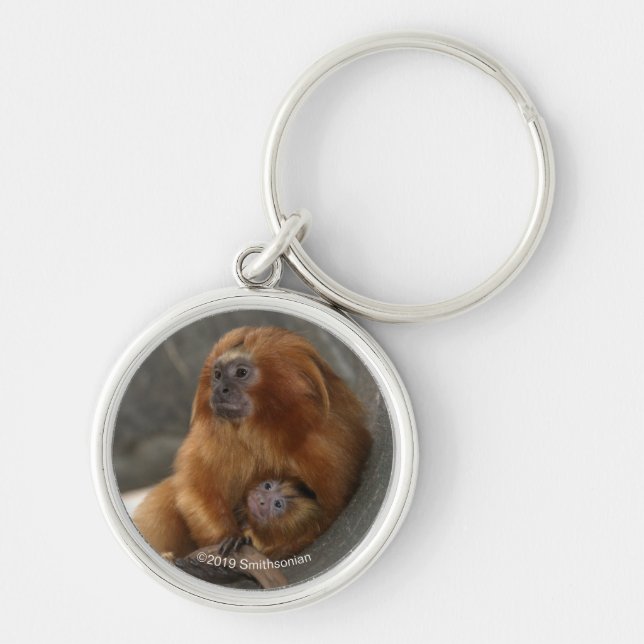 Golden Lion Tamarin with Baby 2 Keychain (Front)