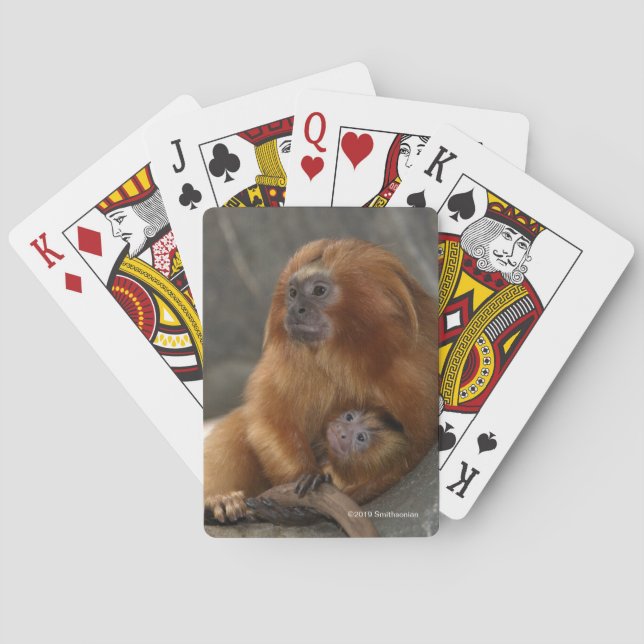 Golden Lion Tamarin with Baby Poker Cards (Back)