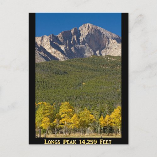 Golden Longs Peak 14259 Poster Postcard