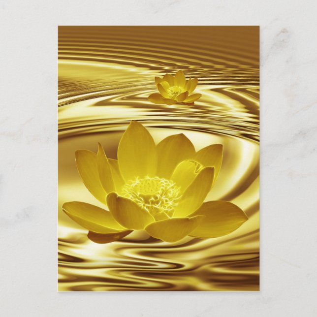 Golden lotus flower postcard (Front)