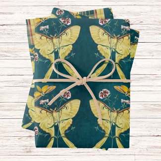 Golden Luna Moth with Flowers on Teal with Plaid