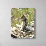 Golden-Mantled Ground Squirrel at Glacier I Canvas Print