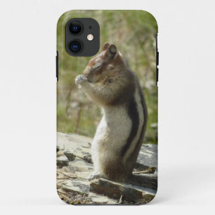 Golden-Mantled Ground Squirrel at Glacier I iPhone 11 Case