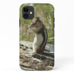 Golden-Mantled Ground Squirrel at Glacier I iPhone 11 Case