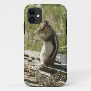 Golden-Mantled Ground Squirrel at Glacier I iPhone 11 Case