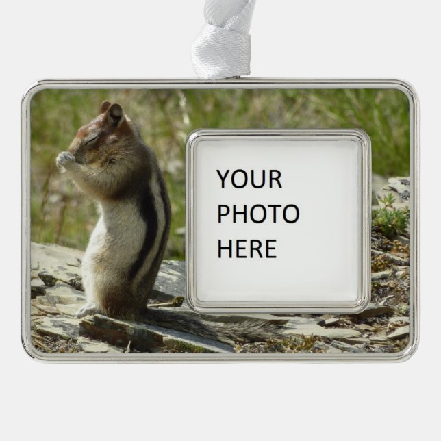 Golden-Mantled Ground Squirrel at Glacier I Christmas Ornament (Front)