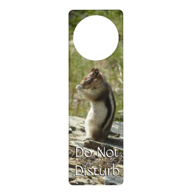 Golden-Mantled Ground Squirrel at Glacier I Door Hanger (Front)