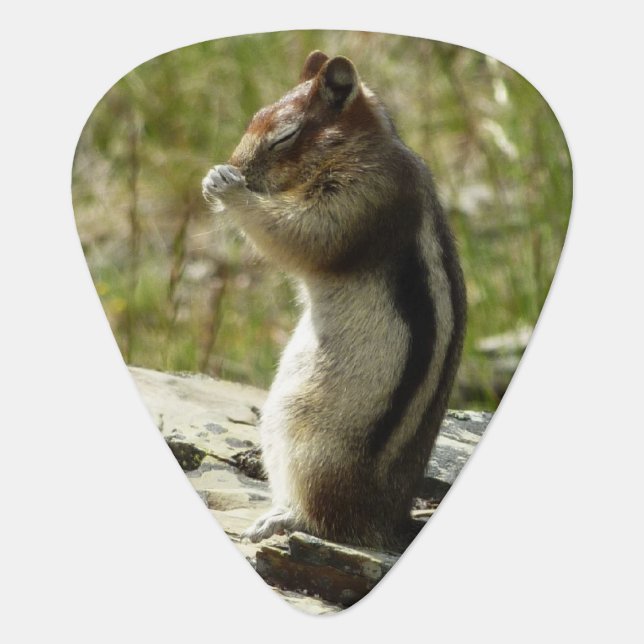 Golden-Mantled Ground Squirrel at Glacier I Guitar Pick (Front)