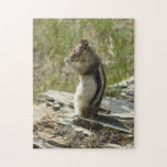 Golden-Mantled Ground Squirrel at Glacier I Jigsaw Puzzle