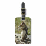 Golden-Mantled Ground Squirrel at Glacier I Luggage Tag