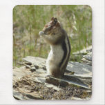 Golden-Mantled Ground Squirrel at Glacier I Mouse Pad