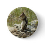 Golden-Mantled Ground Squirrel at Glacier I Pinback Button