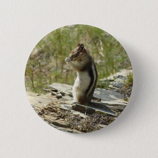 Golden-Mantled Ground Squirrel at Glacier I Pinback Button (Front)