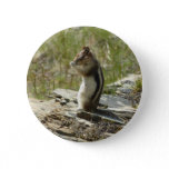 Golden-Mantled Ground Squirrel at Glacier I Pinback Button