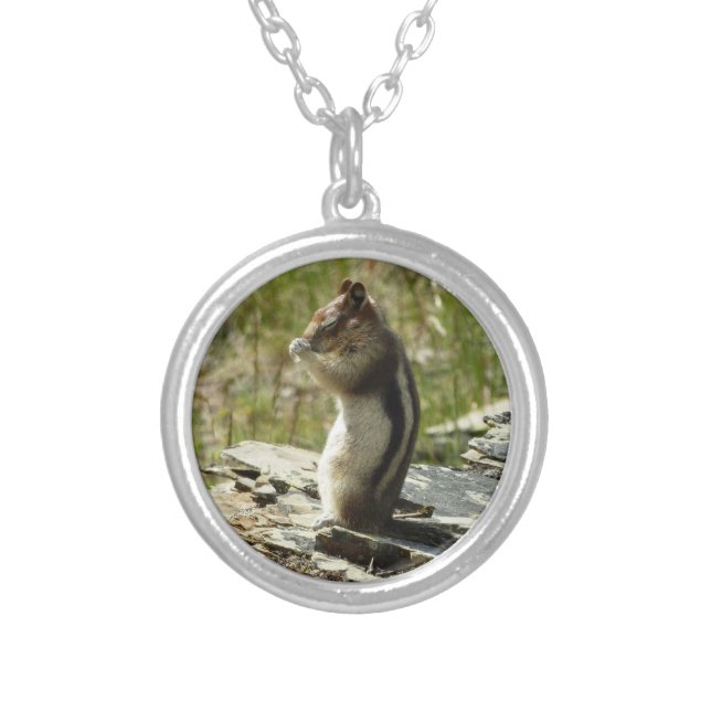 Golden-Mantled Ground Squirrel at Glacier I Silver Plated Necklace (Front)