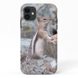 Golden-Mantled Ground Squirrel at Glacier II iPhone 11 Case