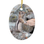Golden-Mantled Ground Squirrel at Glacier II Ceramic Ornament