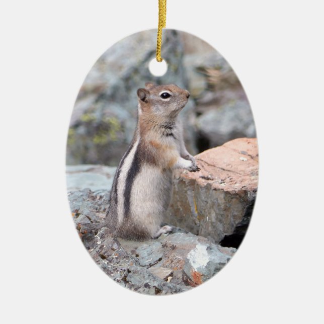 Golden-Mantled Ground Squirrel at Glacier II Ceramic Ornament (Front)