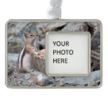Golden-Mantled Ground Squirrel at Glacier II Christmas Ornament