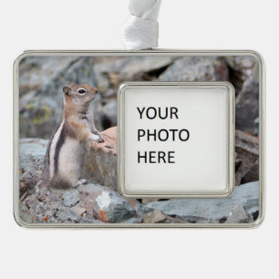 Golden-Mantled Ground Squirrel at Glacier II Christmas Ornament