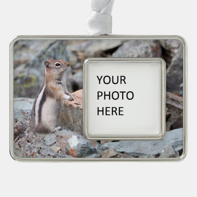 Golden-Mantled Ground Squirrel at Glacier II Christmas Ornament (Front)