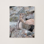 Golden-Mantled Ground Squirrel at Glacier II Jigsaw Puzzle