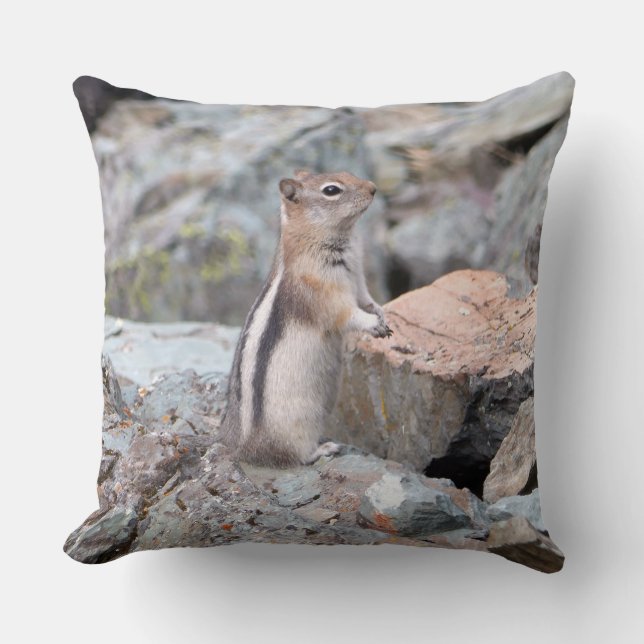 Golden-Mantled Ground Squirrel at Glacier II Throw Pillow (Front)