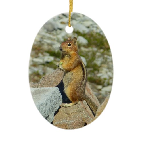 Golden-Mantled Ground Squirrel at Mount Rainier Ceramic Ornament