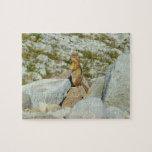 Golden-mantled Ground Squirrel at Mount Rainier Jigsaw Puzzle