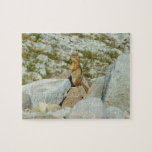 Golden-Mantled Ground Squirrel at Mount Rainier Jigsaw Puzzle