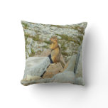 Golden-mantled Ground Squirrel at Mount Rainier Throw Pillow